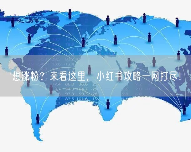 想涨粉?来看这里,小红书攻略一网打尽!